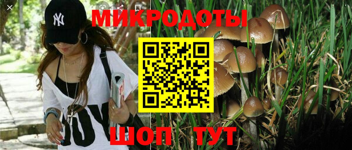 Санкт-Петербург  Галлюциногенные грибы Psilocybe  Галлюциногенные грибы мицелий  Вход с VPN 