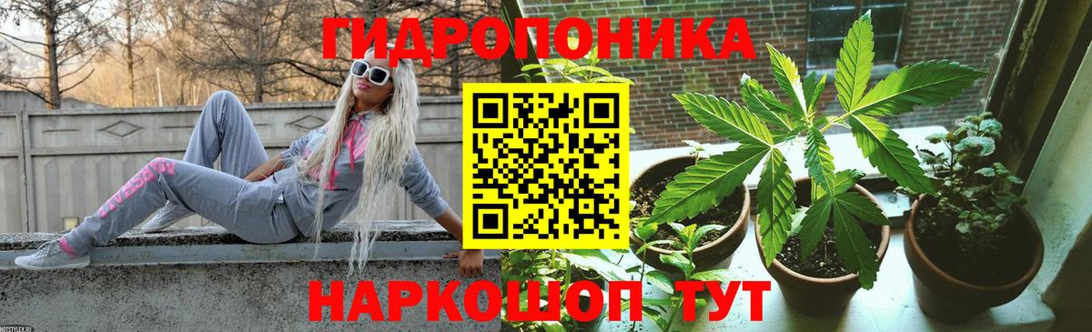 Санкт-Петербург  Каннабис сатива  Каннабис ГИДРОПОН  МАРИХУАНА Amnesia  Вход с VPN 